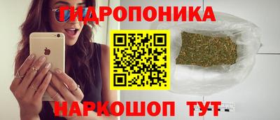 дживик Боровичи