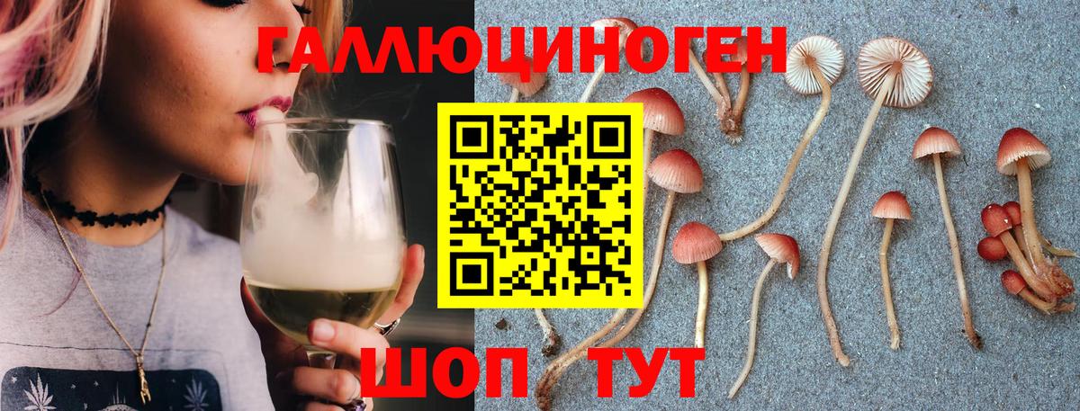 Псилоцибиновые грибы мухоморы  Вход с VPN  Зеленокумск  Псилоцибиновые грибы ЛСД 