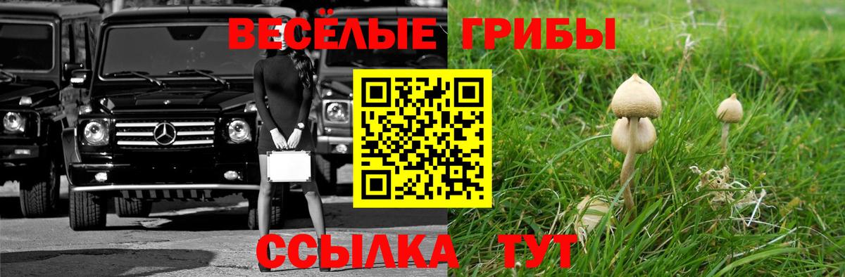 Псилоцибиновые грибы MAGIC MUSHROOMS Зеленокумск